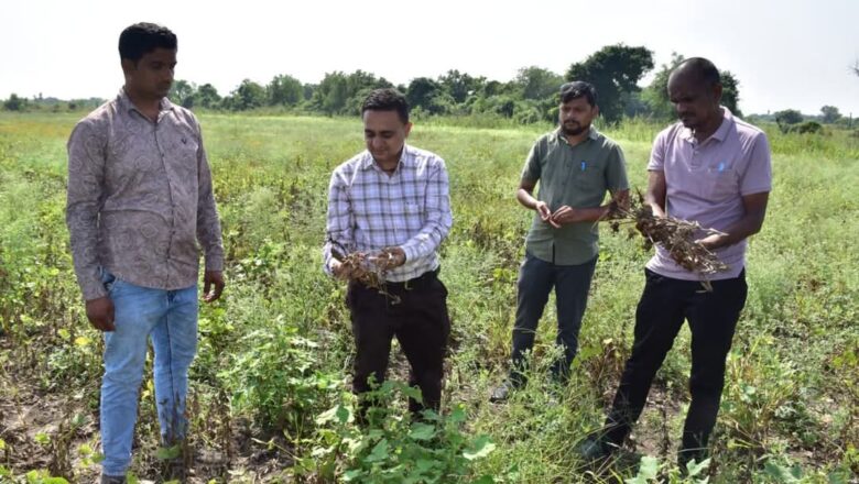 વડોદરામાં માવઠાથી પાક નુકસાનનો સર્વે પૂર્ણ